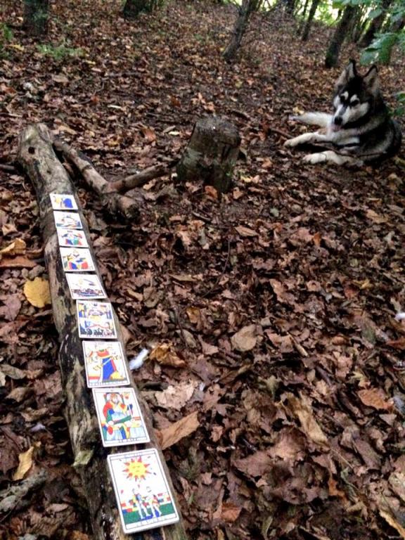 tarot cards arranged end-to-end on a log in a forest