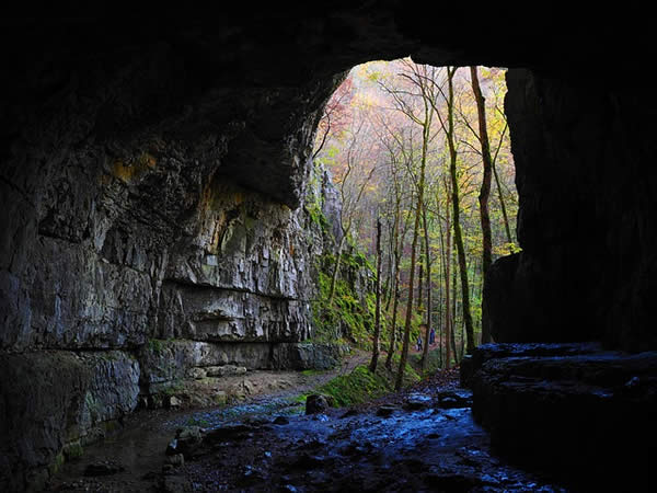 a photograph of a cave's entrance from within the cave