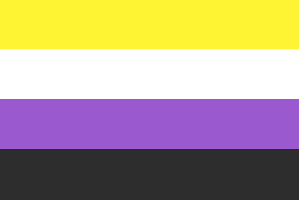The non-binary pride flag designed by Kye Rowan