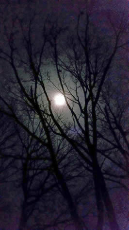 Full Moon / M. Daimler