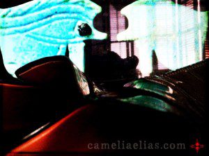 Photo: Camelia Elias