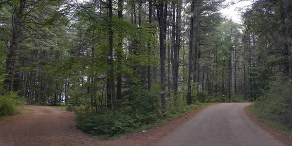 a crossroad in a wood