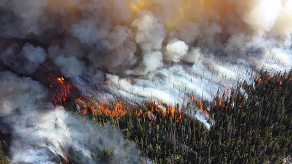 an aerial photograph of a wildfire burning in a forested area