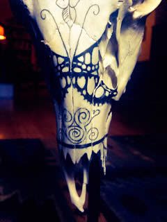 a painted animal skull