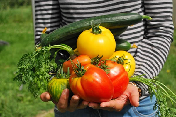a woman holding a variety of fresh vegetables