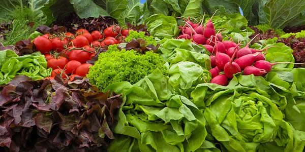 a variety of fresh vegetables