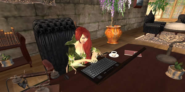 a screen shot of the author's Second Life avatar seated at a desk using a laptop