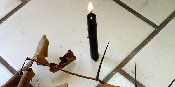 a lit black candle in front of a thorned branch