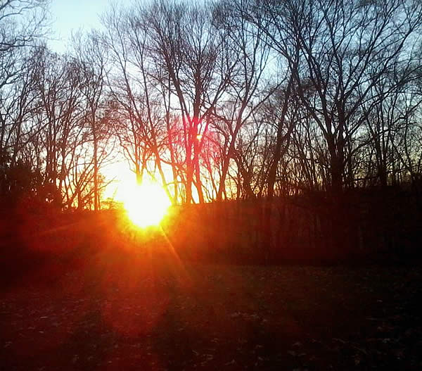 the sun setting behind a tree lined hill