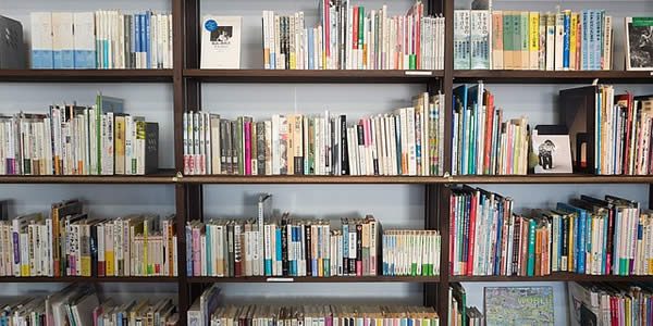 a photograph of library shelves filled with books