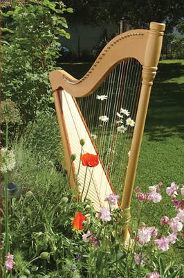a harp placed outside by flowers