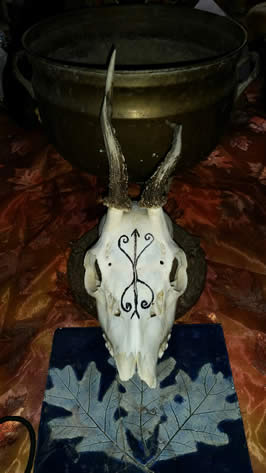 a deer skull with a symbol painted upon it on an altar