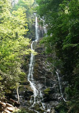 a photograph of a waterfall