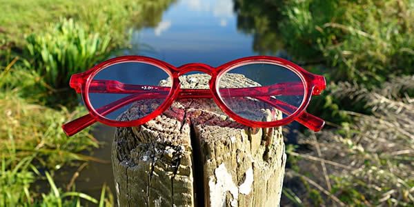 a pair of glasses on a fence post before a pond