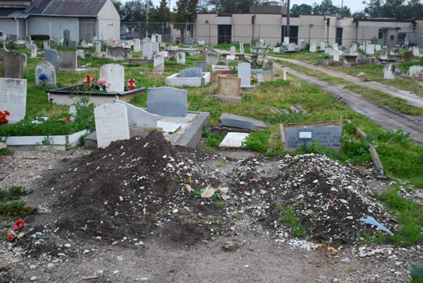 a photograph of a cemetery