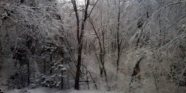 a photograph of winter-clad wilderness