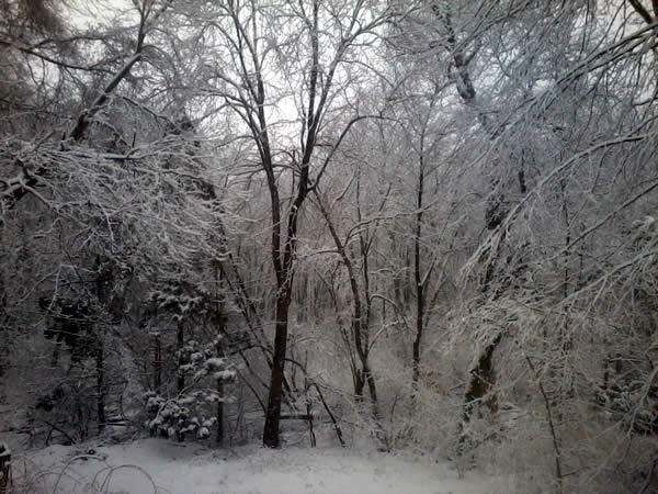 a photograph of winter-clad wilderness