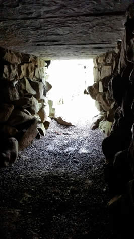 a photograph taken from within a human-made cave-like passage facing its mouth