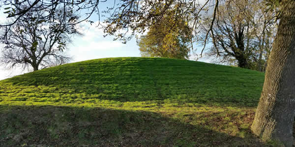 a hill of grass 