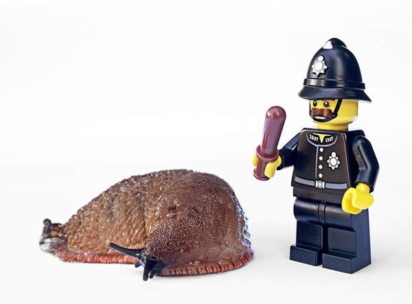 a slug and a Lego policeman figure