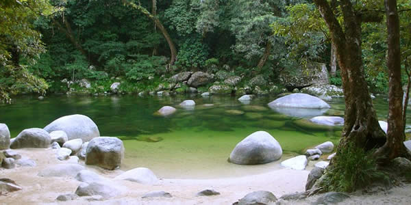 a pristine pond in a forest 