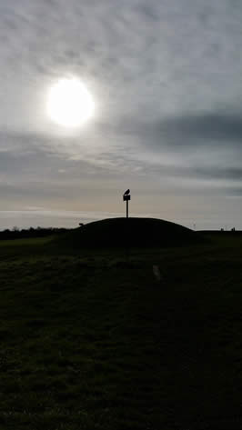 A crow perched on sign near the Mound of Hostages, Teamhair, Ireland / Copyright M Daimler 2016