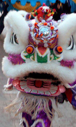 a close-up photograph of a lion costume