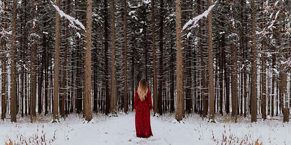 a woman in a red dress stands before a forest in the snow