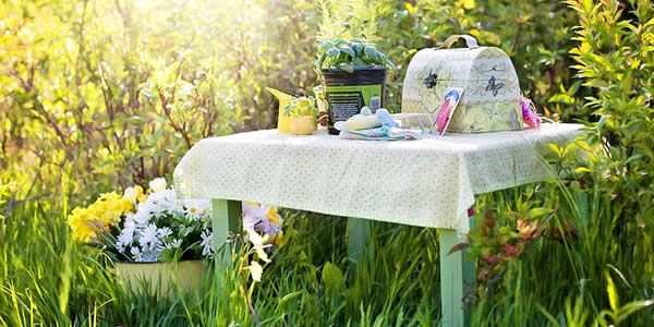 a small tabel on which rests some seeds, a small potted plant, a teakettle, and a woman's purse.  next to the table are potted flowers.  the entire display rests in a field of grasses and small shrubs.