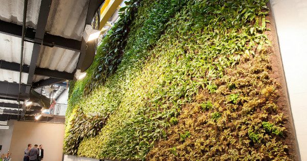 "Living Wall" photo by Citrix Systems via Flickr.  Slightly modified by the editor.  CC 2.0 License