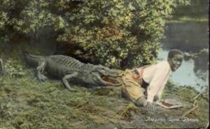 alligator bait racist gator abagond child snopes chained