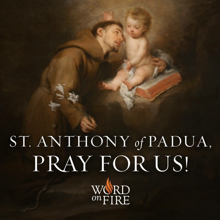 10 St. Anthony Of Padua Things That Caught My Eye Today (June 13, 2016 ...