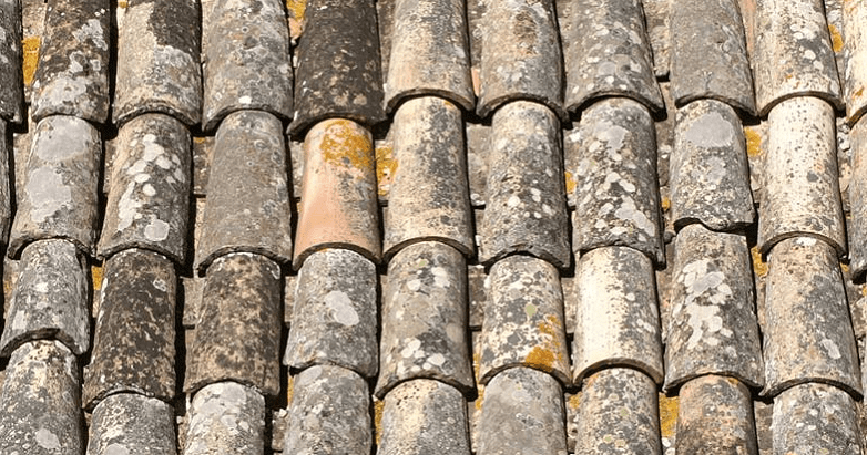 A tile roof.