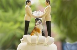 gay marriage astrology