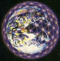 web of life