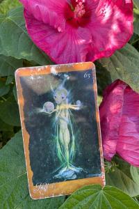 Faery Guidance owl in the oak tarot