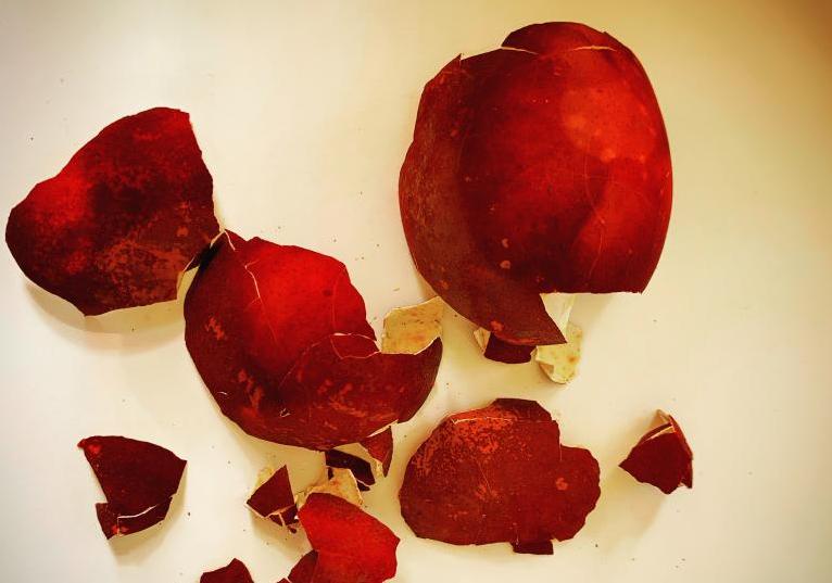 A photo of Red Krashanky Shells