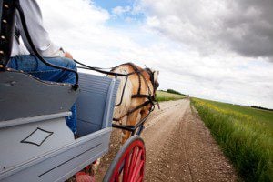 Amish buggy