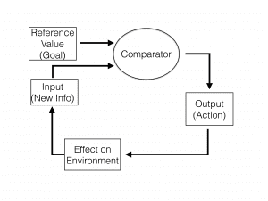 Self-Regulation Loop