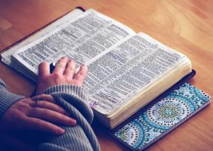 Bible version
