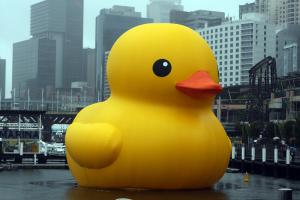 World's Largest Rubber Duck coming to Maryland