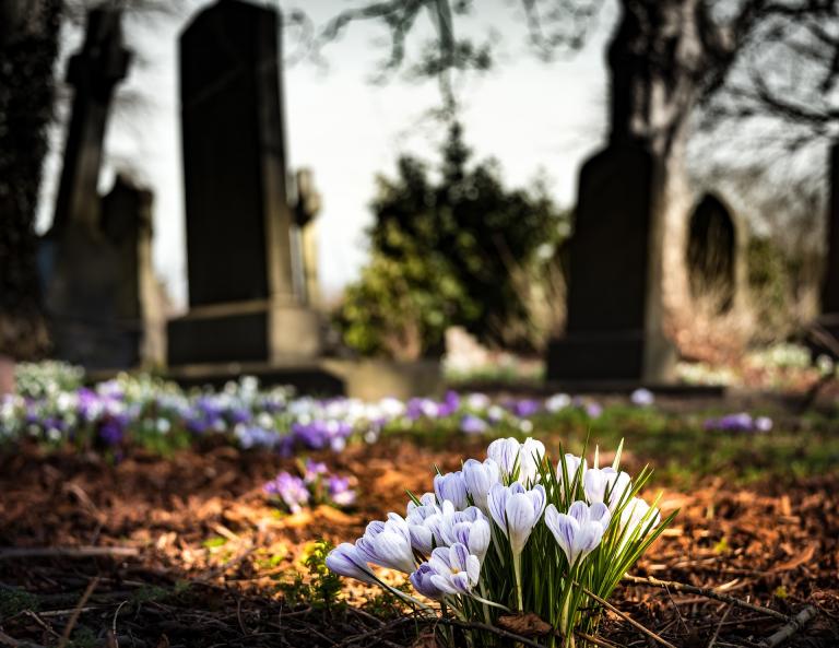 <a href=”https://pixabay.com/photos/graveyard-church-crocus-cemetery-1417871/”>Image</a> by <a href="https://pixabay.com/users/drippycat-1944641/?utm_source=link-attribution&utm_medium=referral&utm_campaign=image&utm_content=1417871">drippycat</a> from <a href="https://pixabay.com/?utm_source=link-attribution&utm_medium=referral&utm_campaign=image&utm_content=1417871">Pixabay</a>