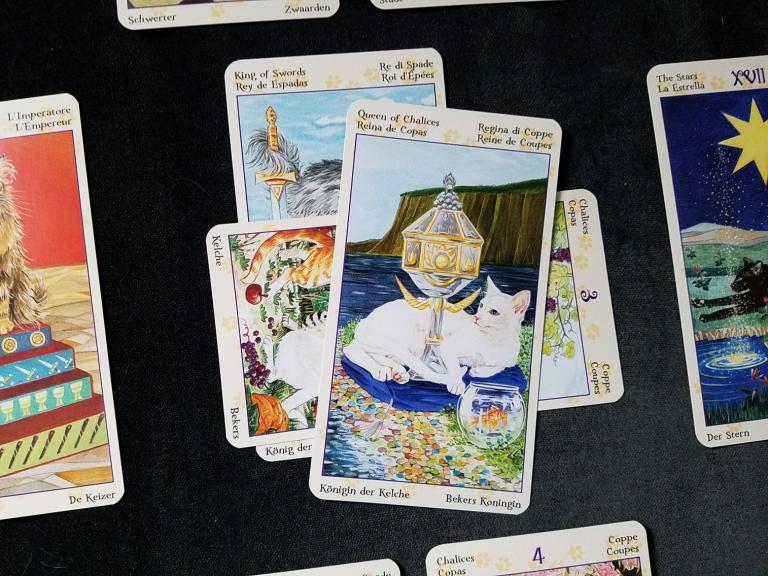 Core cards are the King of Swords, crossed with the 3 of Cups, topped with the Queen of Cups. Deck is the <a href=”https://www.llewellyn.com/product.php?ean=9780738726700”>Tarot of Pagan Cats</a>.