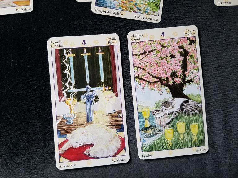 Emotion cards are the 4 of Swords for current approach, and 4 of cups for advice. Deck is the <a href=”https://www.llewellyn.com/product.php?ean=9780738726700”>Tarot of Pagan Cats</a>.