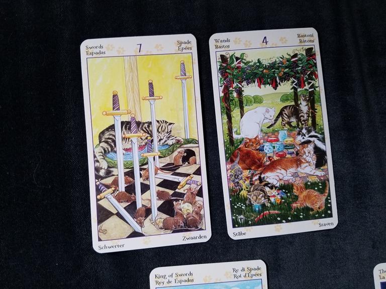 Mental cards are the 7 of Swords for current approach, and 4 of Wands for advice. Deck is the <a href=”https://www.llewellyn.com/product.php?ean=9780738726700”>Tarot of Pagan Cats</a>.