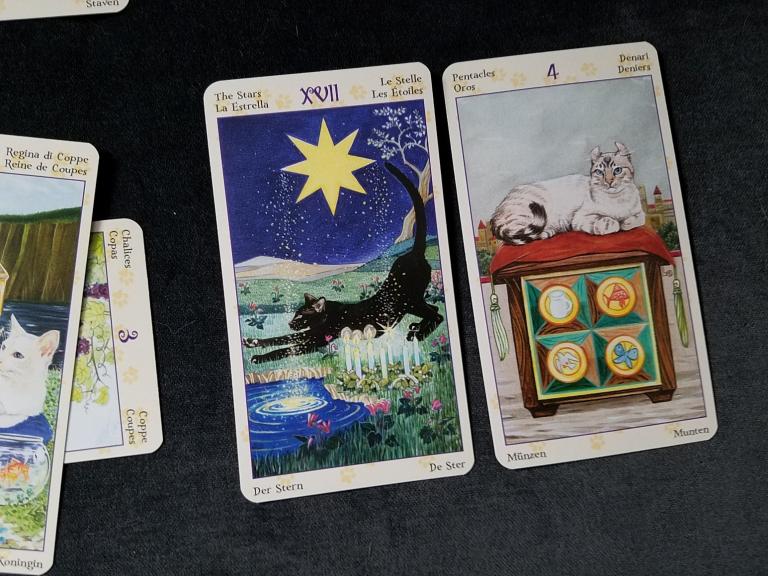 Physical cards are The Star for current approach, and 4 of Pentacles for advice. Deck is the <a href=”https://www.llewellyn.com/product.php?ean=9780738726700”>Tarot of Pagan Cats</a>.