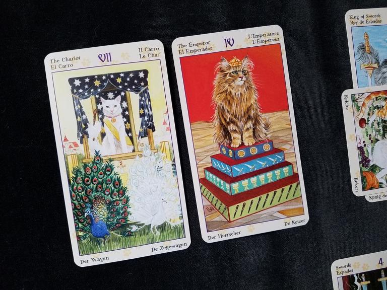 Spiritual cards are The Chariot for current approach, and The Emperor for advice. Deck is the <a href=”https://www.llewellyn.com/product.php?ean=9780738726700”>Tarot of Pagan Cats</a>.