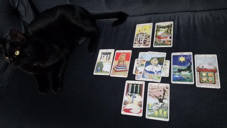 Thanatos was surveying the spread for accuracy. Deck is the <a href=”https://www.llewellyn.com/product.php?ean=9780738726700”>Tarot of Pagan Cats</a>.