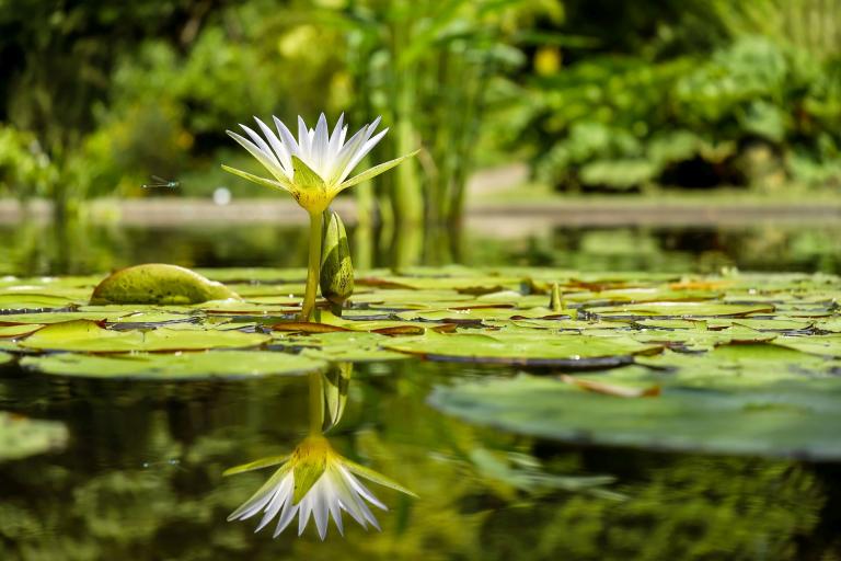 If your new affirmation is uncomfortable, yet believable, it can facilitate growth and strength.