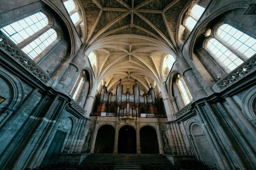 Why Go to Church?